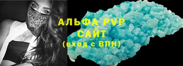 прущие грибы Гусиноозёрск
