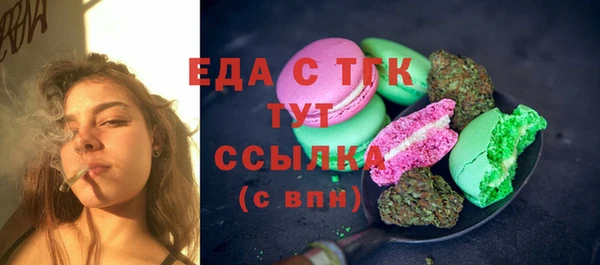 прущие грибы Гусиноозёрск