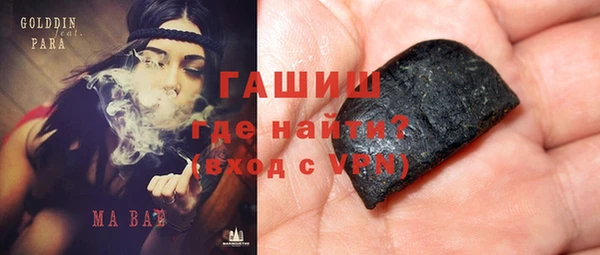 прущие грибы Гусиноозёрск