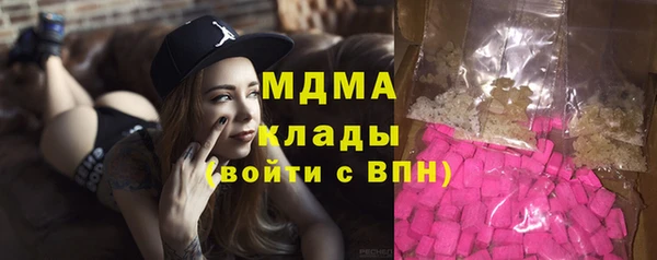 прущие грибы Гусиноозёрск