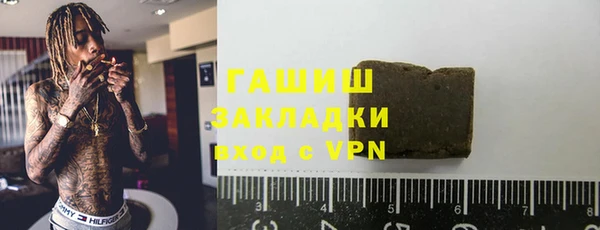 прущие грибы Гусиноозёрск