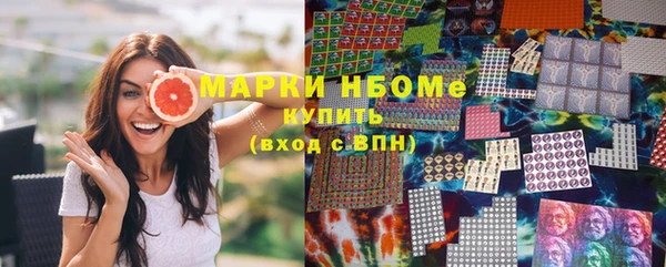 прущие грибы Гусиноозёрск