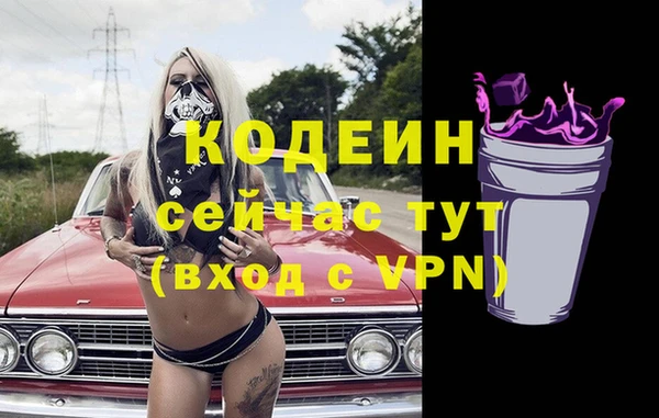 прущие грибы Гусиноозёрск