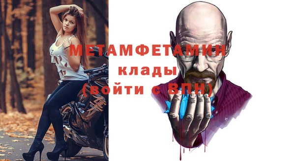 прущие грибы Гусиноозёрск