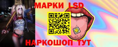 дмт Кингисепп