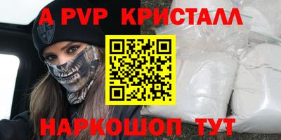дмт Кингисепп