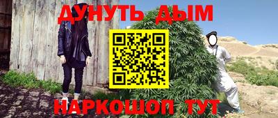 дмт Кингисепп
