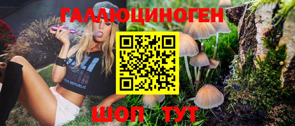 Псилоцибиновые грибы Cubensis  где продают   Можайск 
