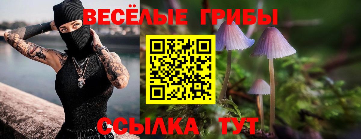 Псилоцибиновые грибы GOLDEN TEACHER  Вход с VPN  Можайск  Псилоцибиновые грибы Cubensis 