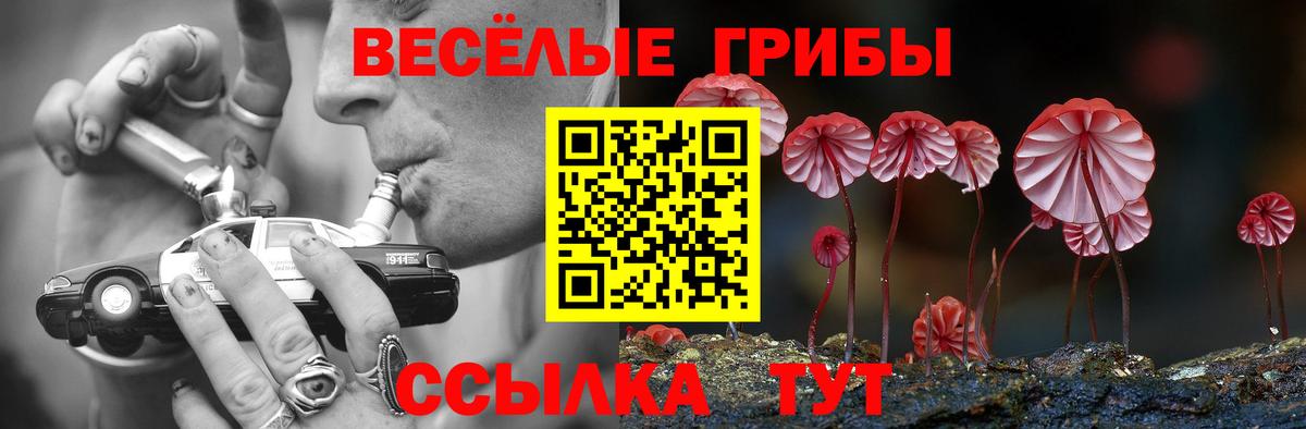 Псилоцибиновые грибы ЛСД Можайск